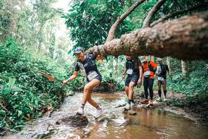 BIB: 
                            <button type="button" onclick="openModal(25375846)" class="btn btn-primary btn-sm float-right btn-popup" data-toggle="modal" data-target=".modal-high-quality">
                        <i class="fas fa-shopping-cart"></i> Add to Cart
                    </button>
                                            <button type="button" onclick="isThisMe(25375846, true)" class="btn btn-success btn-sm float-right btn-popup btn-isme hidden" data-toggle="tooltip" data-placement="bottom" title="นี่คือรูปของคุณใช่ไหม คลิกที่นี่เพื่อเอาเข้าอัลบั้ม">
                        <i class="fas fa-plus"></i> Add to album
                    </button>
                    <button type="button" onclick="isThisMe(25375846, false)" class="btn btn-warning btn-sm float-right btn-popup btn-isnotme hidden">
                        <i class="fas fa-ban"></i> Remove from album
                    </button>